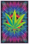 Skyglass - Assorted Posters (Flocked/Blacklight)