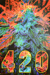 Skyglass - Assorted Posters (Flocked/Blacklight)