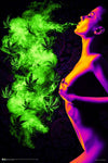 Skyglass - Assorted Posters (Flocked/Blacklight)