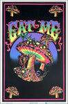 Skyglass - Assorted Posters (Flocked/Blacklight)