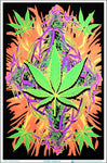 Skyglass - Assorted Posters (Flocked/Blacklight)