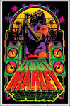 Skyglass - Assorted Posters (Flocked/Blacklight)