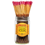 Wild Berry - Incense 100pk