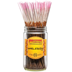 Wild Berry - Incense 100pk