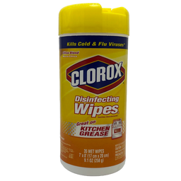 Skyglass - Secret Safes - Clorox Wipes