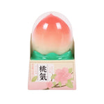 Aiko Garden - Ice Cream Paleta 24pk Case