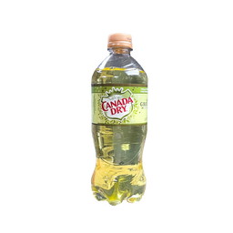 Canada Dry - Green Tea