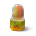 Aiko Garden - Ice Cream Paleta 3pk Case