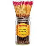 Wildberry Incense 100pk