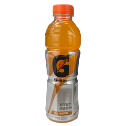 Gatorade - 600ml Bottle